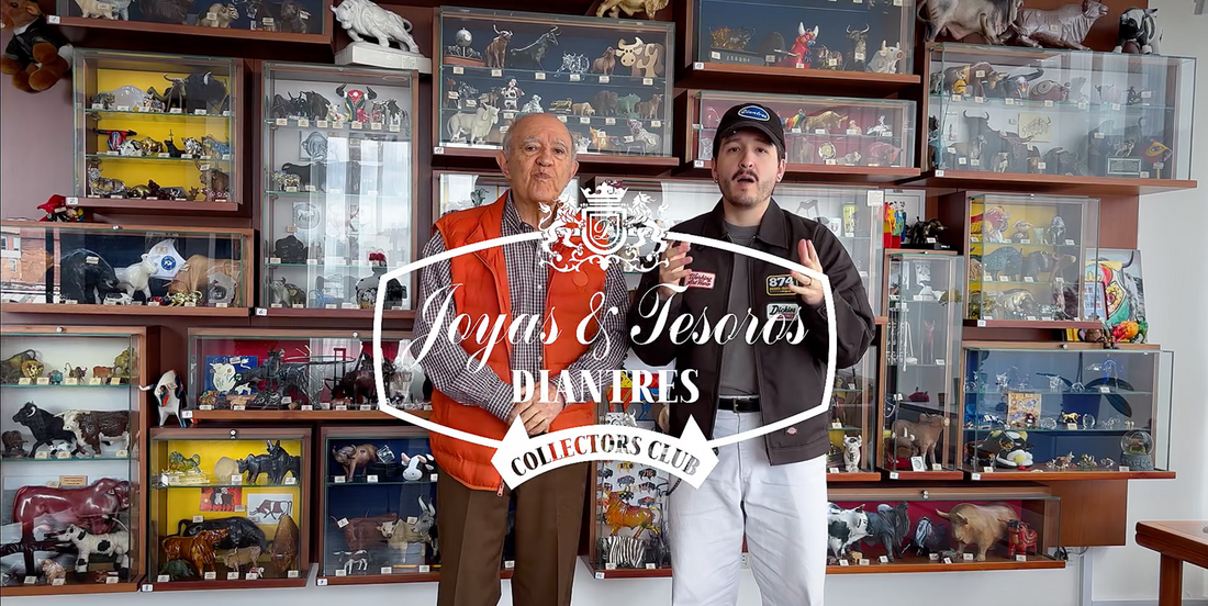 Joyas & Tesoros