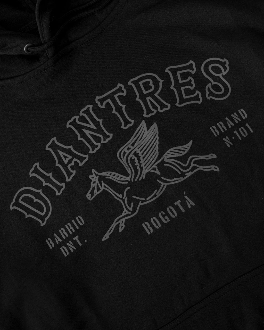 HOODIE DNT 101