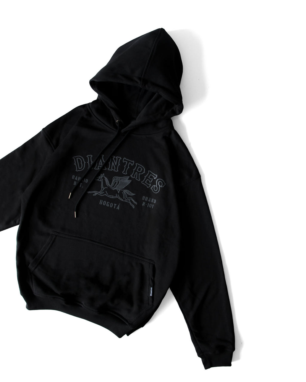 HOODIE DNT 101